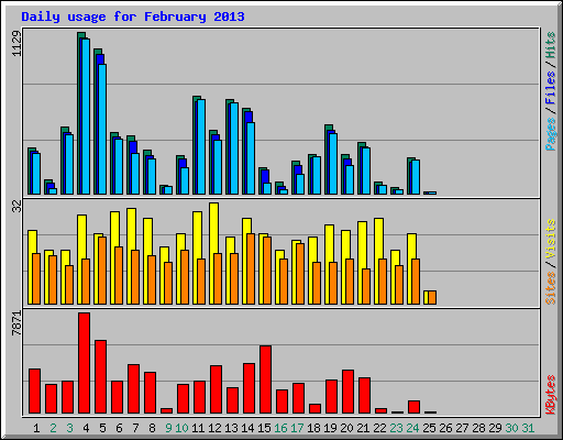 Daily usage for February 2013