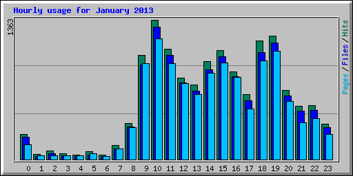 Hourly usage for January 2013